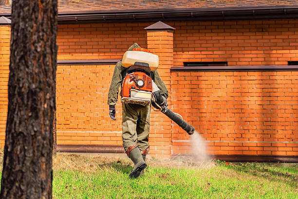 Trusted Cockroach Control service in Enola, PA - Nex Pest Control